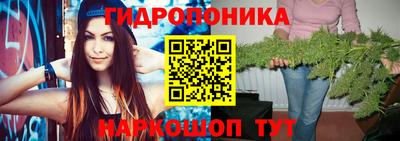 прущие грибы Азнакаево