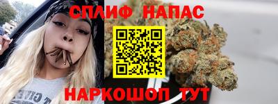 прущие грибы Азнакаево