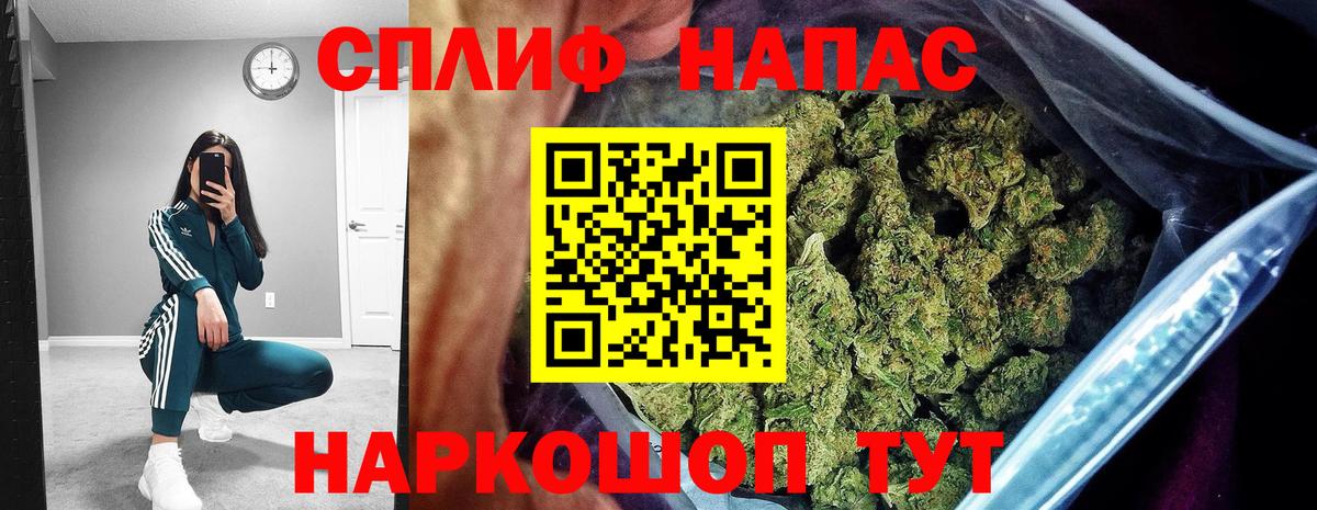 Конопля White Widow  Вход с VPN  Бошки марихуана марихуана  Алейск 