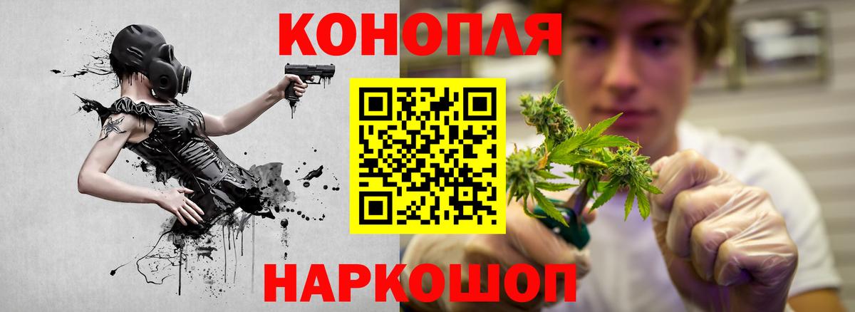 Конопля OG Kush Алейск